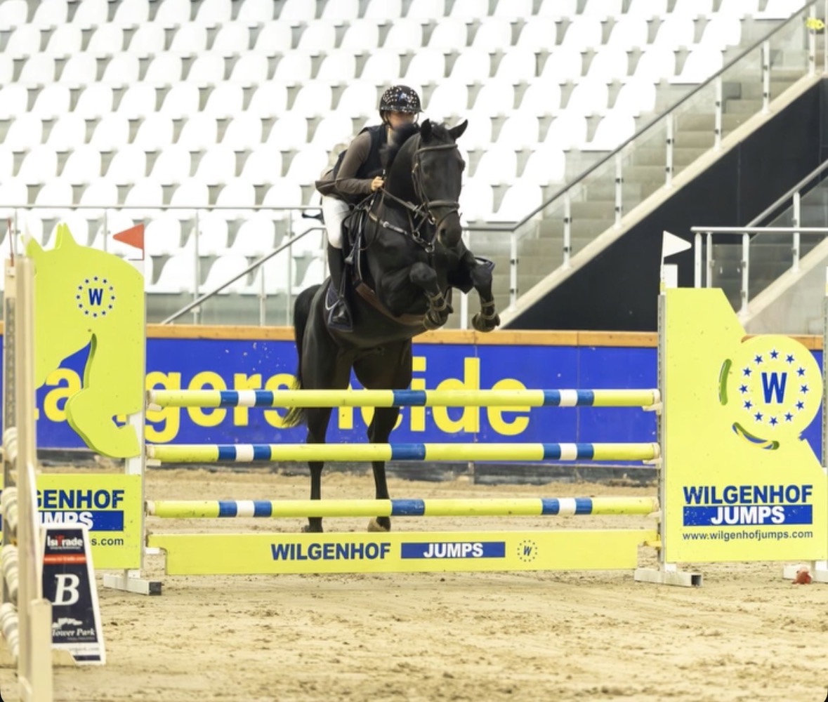 Caesar springt over een hindernis in een indoorpiste